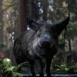 alessandro-mastronardi-wildboar-main