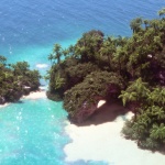 massimo-verona-palm-island-cgs